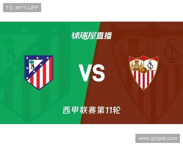 西甲联赛在线直播平台汇总与免费观看指南