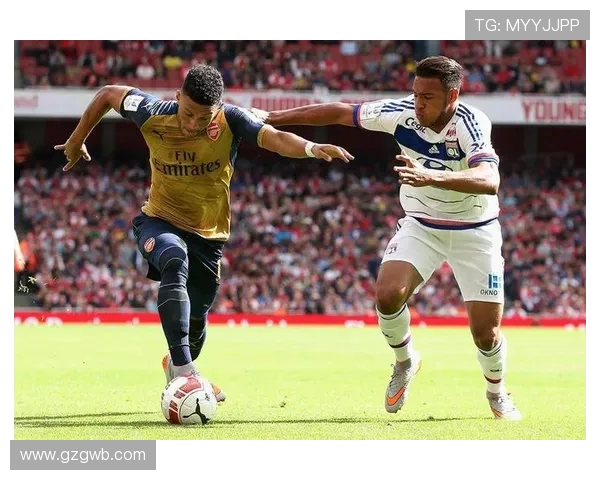 2024年法甲外援技术适应性分析及竞技表现评估