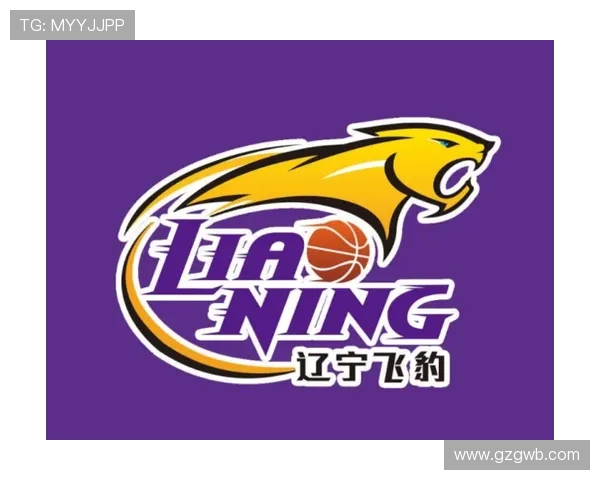 各大CBA球队的“足球队徽”误区辨析 各大CBA球队的“足球队徽”误区辨析