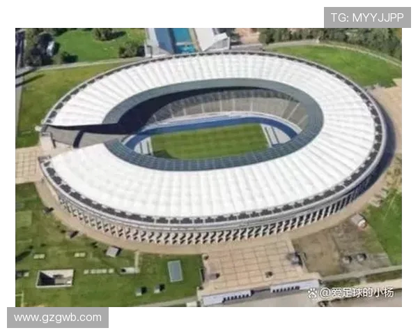 德甲各支球队主场球场尺寸是否符合国际标准对比