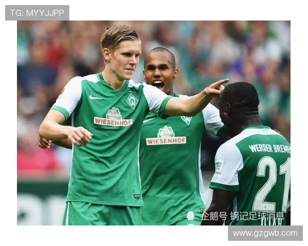 海登堡是否拥有德甲球队？情况介绍