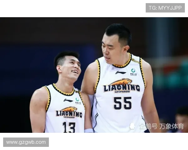 辽宁CBA篮球队阵容名单及球员战力全面分析